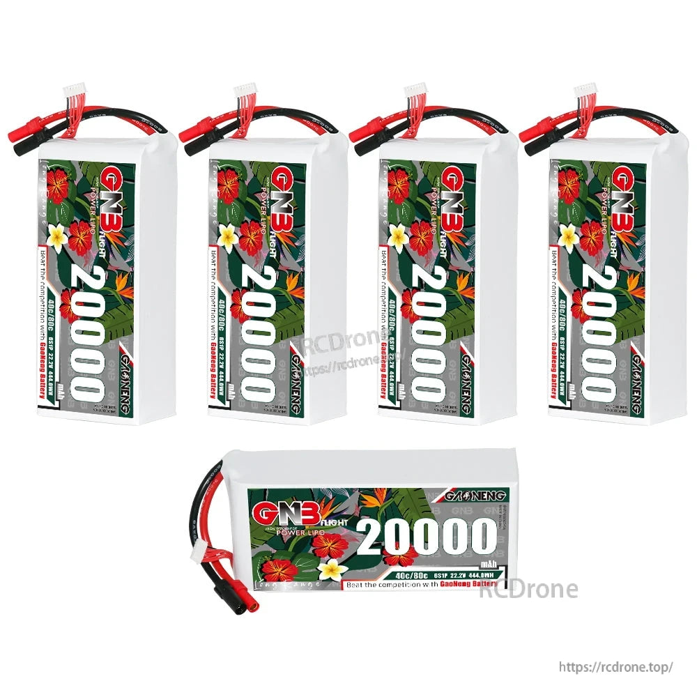 Bundle layout with four upright GNB 20000mAh packs and one horizontal pack, labels visible