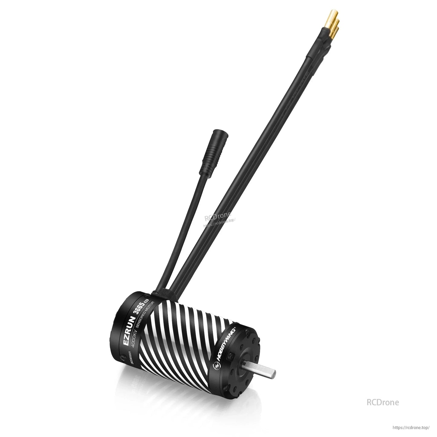 Hobbywing EZRUN 3665 sensored brushless RC motor with striped can, motor shaft, and prewired bullet leads