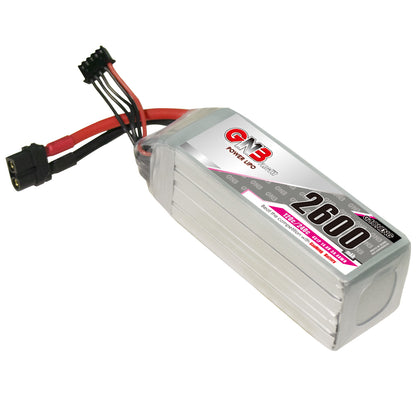 Angled side view of GNB 2600 LiPo pack showing hard case end cap and attached leads