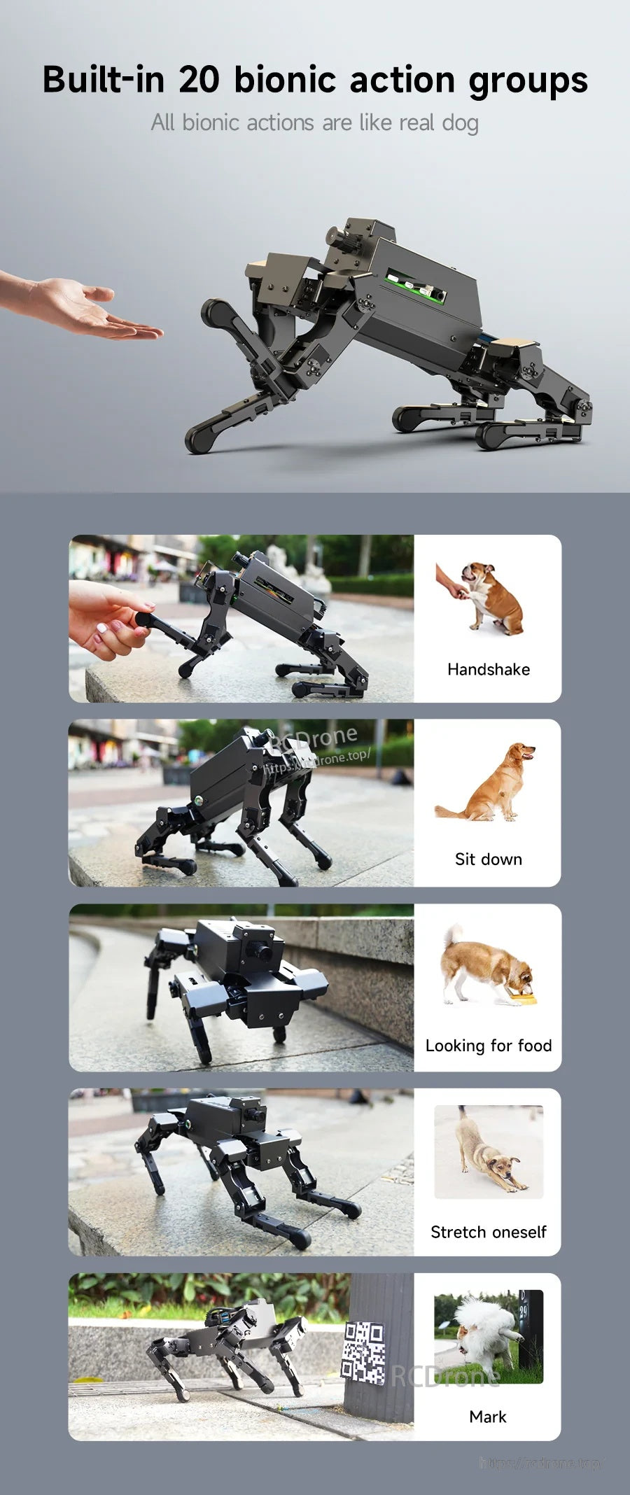 Built-in 20 bionic action groups poster including handshake, sit down, stretch, looking for food, and mark