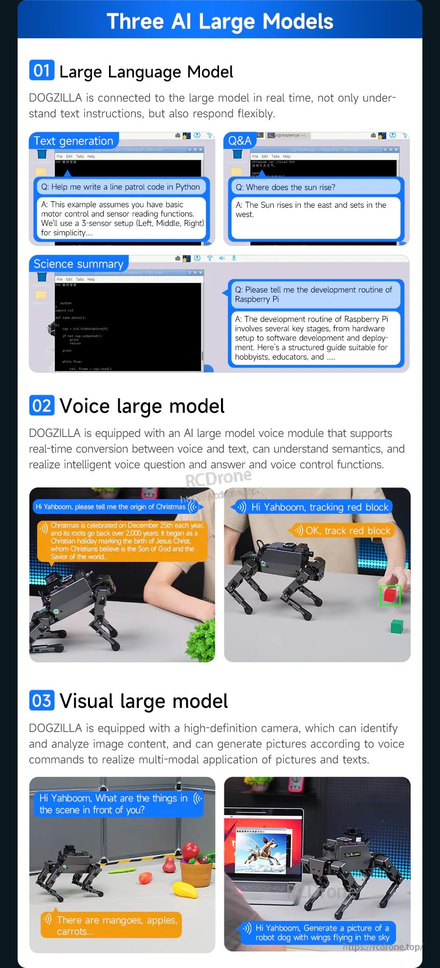 Three AI large model functions poster: language model, voice model, and visual model examples on DOGZILLA