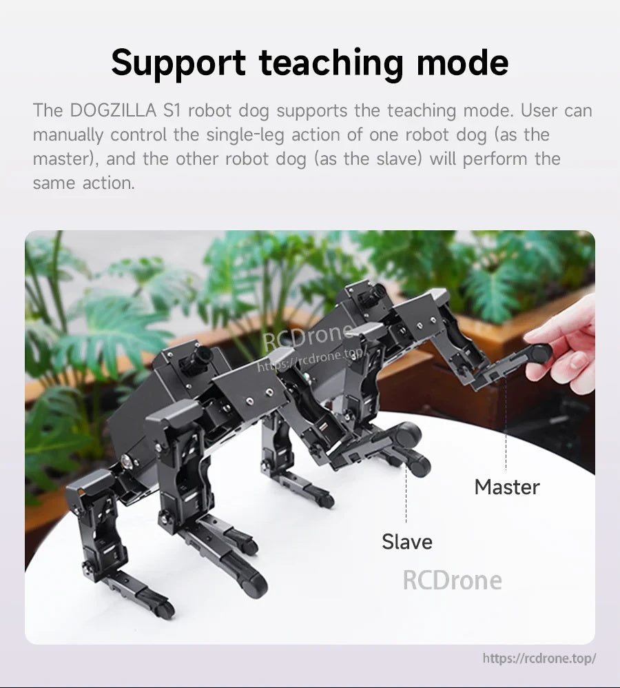 Teaching mode demo with two robot dogs labeled master and slave for copying single-leg actions