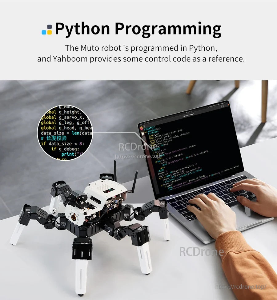 Python programming setup with laptop coding and the hexapod robot connected for development and control