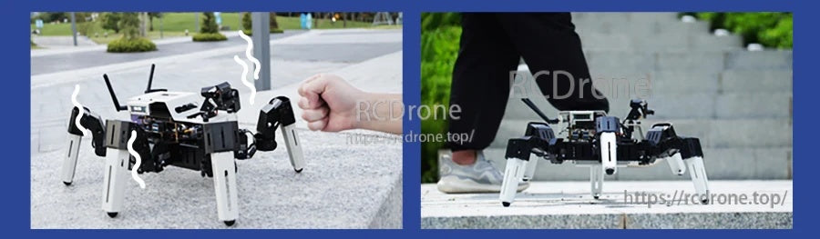 Two-panel demo of hand interaction and following behavior with hexapod walking near a person’s legs