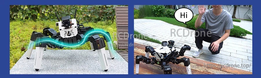 Two-panel demo of hexapod movement and greeting gesture interaction with a person raising a hand