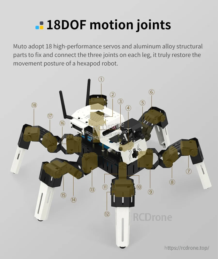 18DOF motion joints layout showing 18 servos across six legs on the Muto S2 hexapod chassis