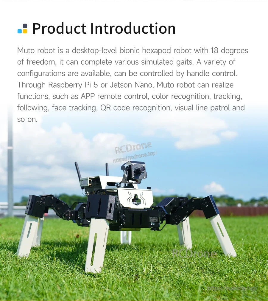 Desktop bionic hexapod robot on grass, compatible with Raspberry Pi 5 or Jetson Nano main controller