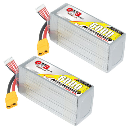 Two GAONENG 6000mAh 6S LiPo batteries shown at angle with XT90 connectors and balance leads