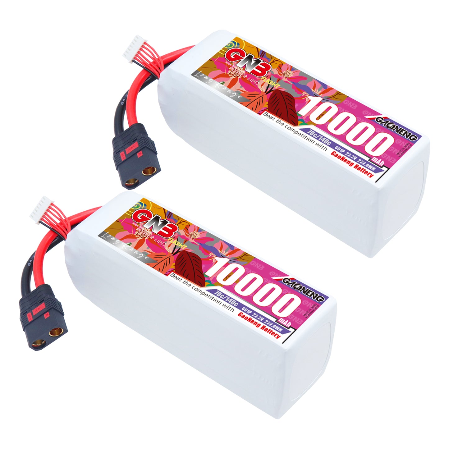 Two GAONENG GNB 6S 10000mAh LiPo battery packs with QS8 connectors, angled top view