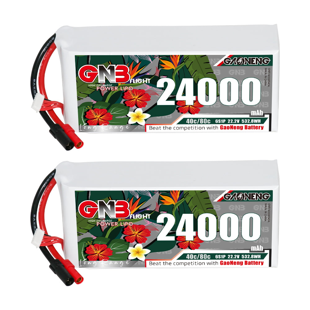 Two GNB 24000mAh 6S 22.2V LiPo batteries shown front label with balance lead and XT150 plug