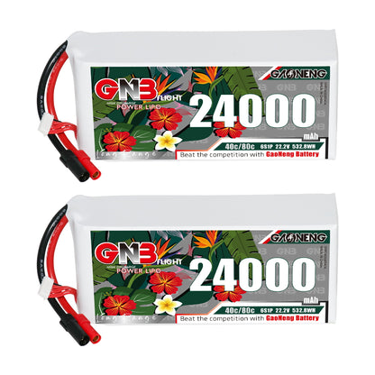 Two GNB 24000mAh 6S 22.2V LiPo batteries shown front label with balance lead and XT150 plug