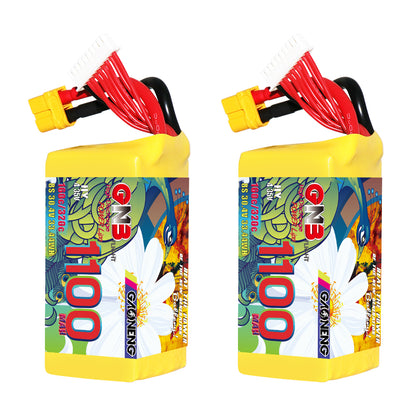 GAONENG GNB LiHV 8S 1100mAh 160C graphene LiPo battery with XT60 lead and balance plug, pair view