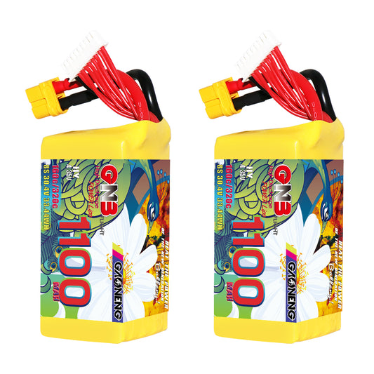 GAONENG GNB LiHV 8S 1100mAh 160C graphene LiPo battery with XT60 lead and balance plug, pair view