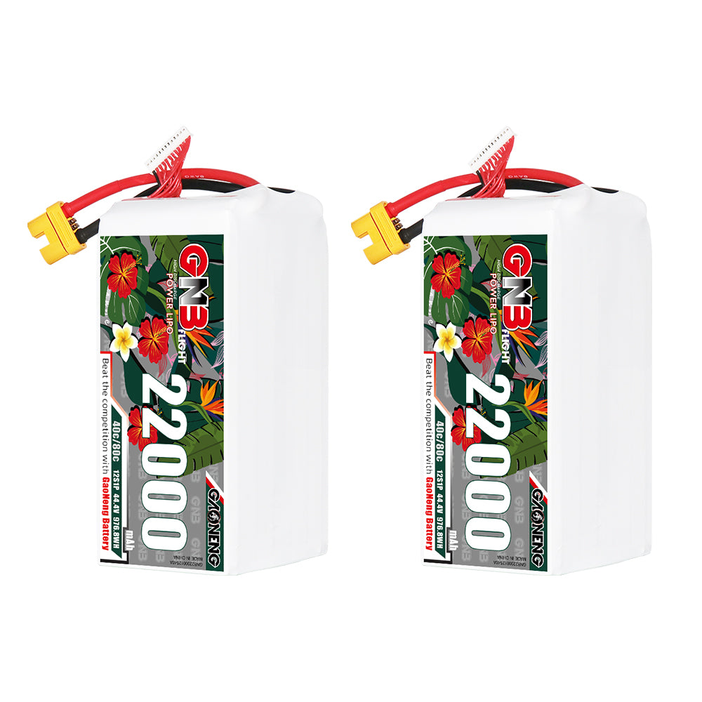 Two GAONENG GNB 22000mAh LiPo batteries shown upright, front label side with leads and AS150 plug