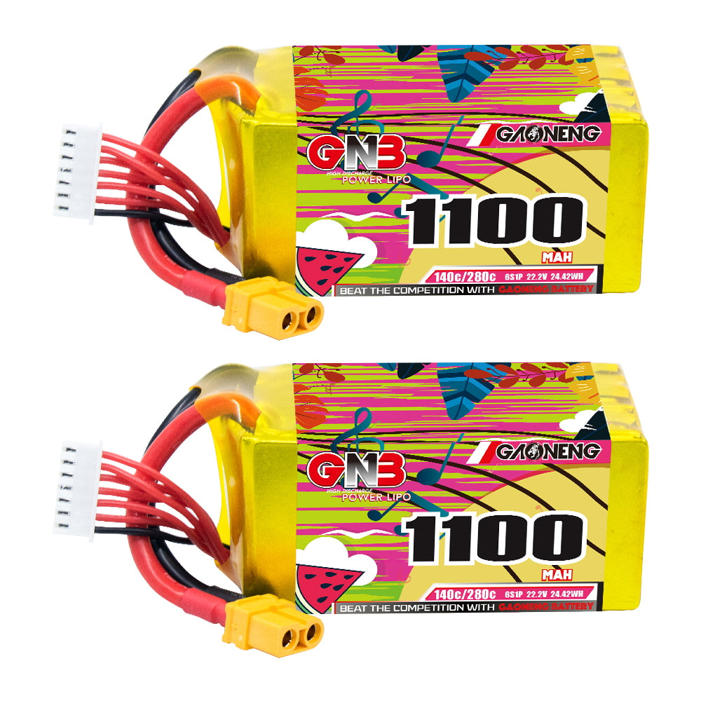 GAONENG GNB11006S140A 6S 1100mAh 140C XT60 LiPo battery, two-pack view with balance lead