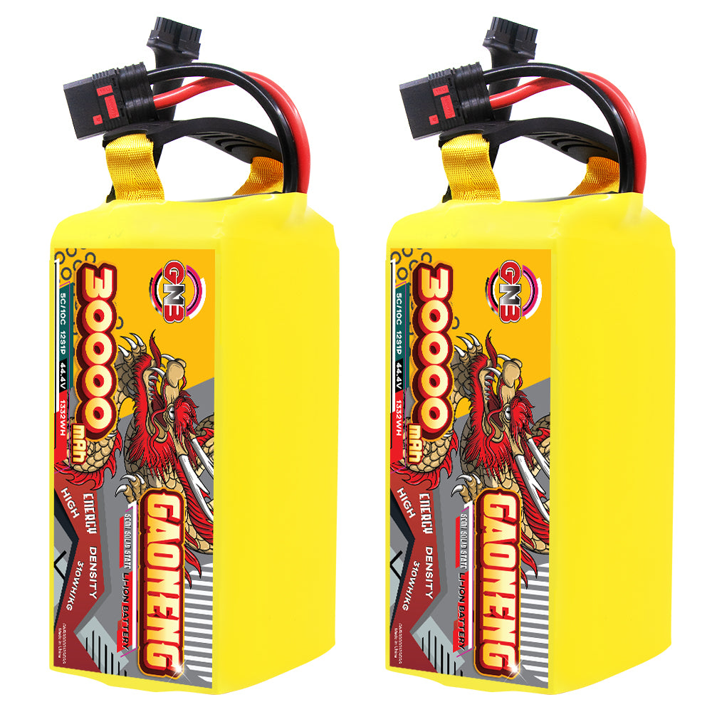 Two GAONENG GNB 30000mAh 12S battery packs shown upright, front label and top leads