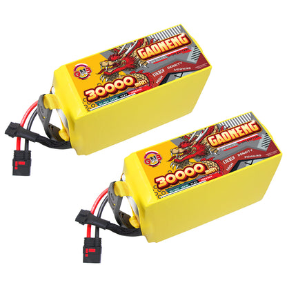 Two GAONENG GNB 30000mAh 14S battery packs with discharge leads and connector shown