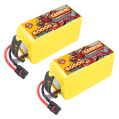 Two GAONENG GNB 60000mAh 6S battery packs shown side by side with QS8-S connectors