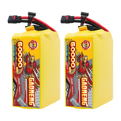 Two GAONENG 60000mAh battery packs standing upright, front label view with leads on top