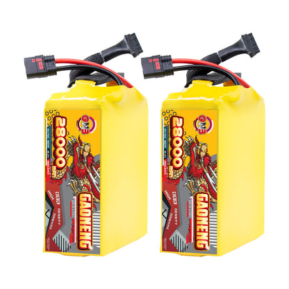 Two GAONENG GNB 28000mAh battery packs shown upright with QS8 discharge leads