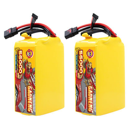 Two GAONENG GNB 56000mAh 6S battery packs standing upright, side-by-side view with leads