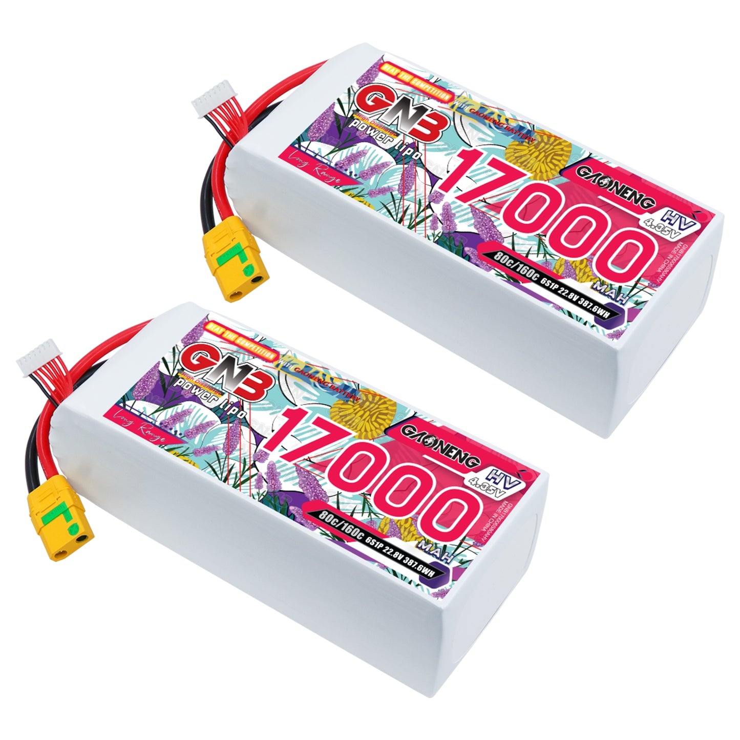 Two GNB 17000mAh 6S HV LiPo battery packs shown together, angled views with XT90S connectors