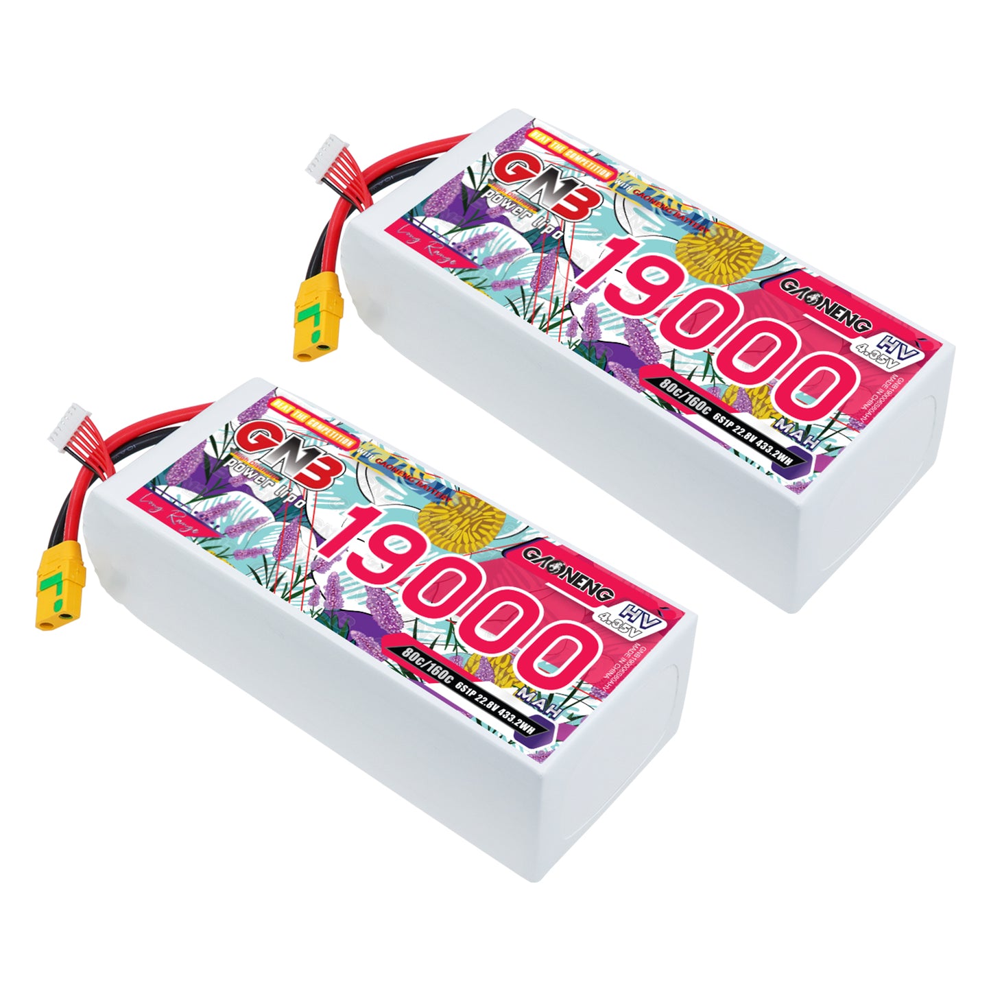 Two GAONENG GNB 19000mAh 6S HV LiPo battery packs shown at an angle with discharge leads