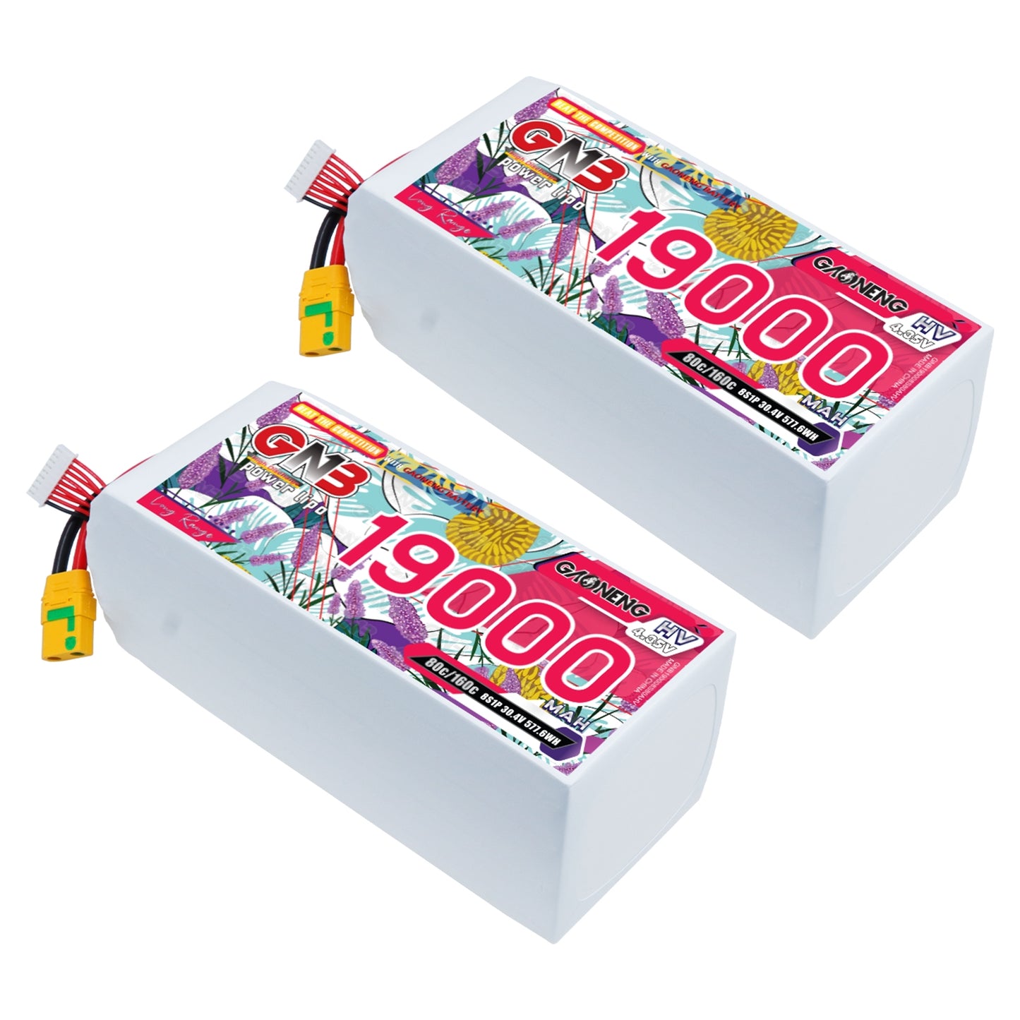Two GAONENG GNB 19000mAh HV LiPo battery packs shown at angle with XT90S connector and balance plug