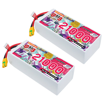 Two GNB 21000mAh HV 6S LiPo battery packs shown at an angle with XT90S connectors