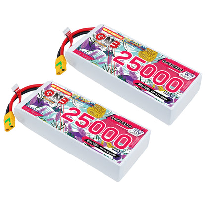 Two GNB 25000mAh HV LiPo battery packs shown at angle with XT90S connector and balance lead