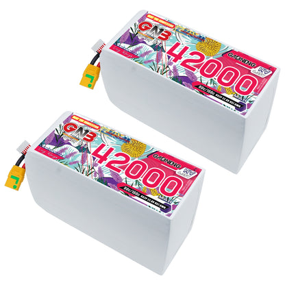 Two GAONENG GNB 42000mAh HV LiPo batteries shown at an angle with XT90S leads