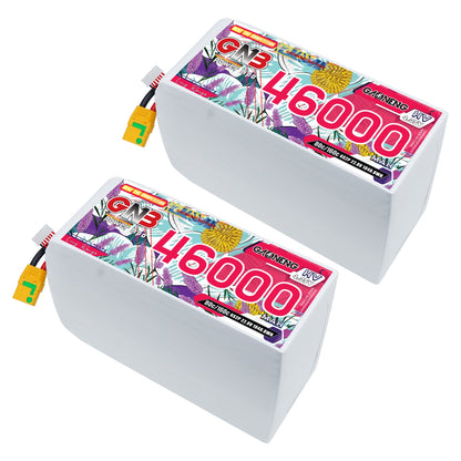 Two GAONENG GNB 46000mAh 6S HV LiPo battery packs shown together with XT90S connectors