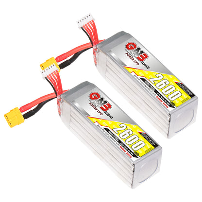 Two GAONENG GNB 2600mAh LiPo packs with XT60 connectors and white balance leads