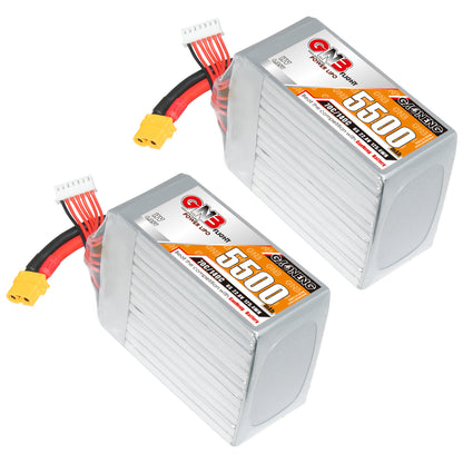 Two GAONENG GNB 6S 5500mAh LiHV LiPo batteries with XT60 connectors, side-by-side