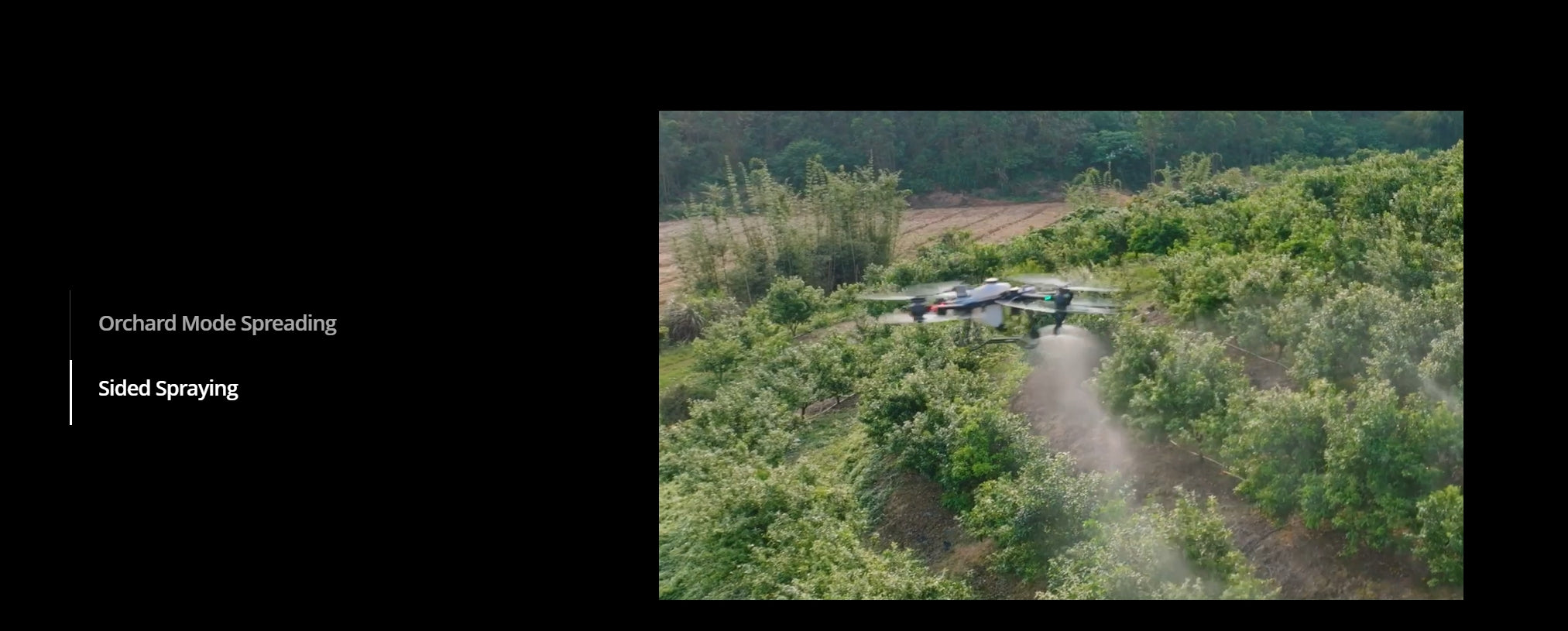 DJI Agras T50 , Orchard sprayer with 50kg capacity and side spraying for efficient crop coverage.