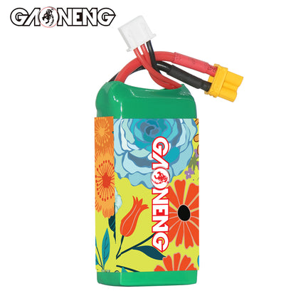 GAONENG GNB battery rear side view showing GAONENG logo panel and wire exit