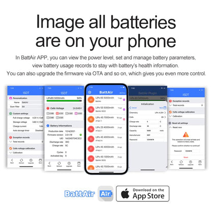 Battair Plugin, 5 Packs 2/3-4S/5-6S RC Model Accessories for Battery Guard Housekeeper Smart Battery Management System ISDT