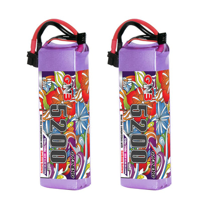 Two GNB 5200mAh LiHV 3S LiPo batteries standing upright, showing label side and leads