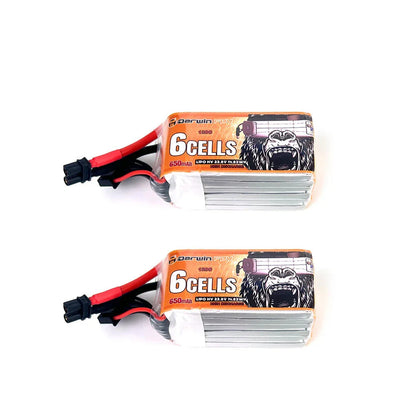 Two DarwinFPV 6-cell 650mAh LiPo battery packs shown side by side with attached leads