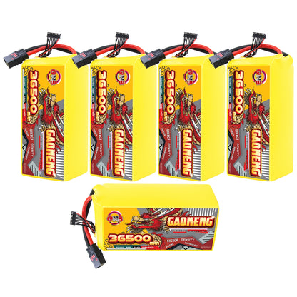 Five GAONENG battery packs group image with four upright units and one horizontal unit