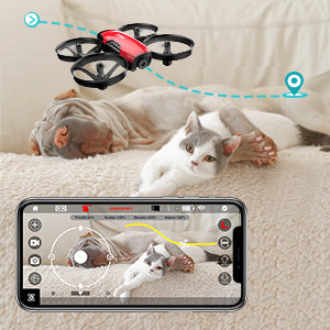 SANROCK U61W Drone, connected to a mobile phone by wifi, you can customize the flight