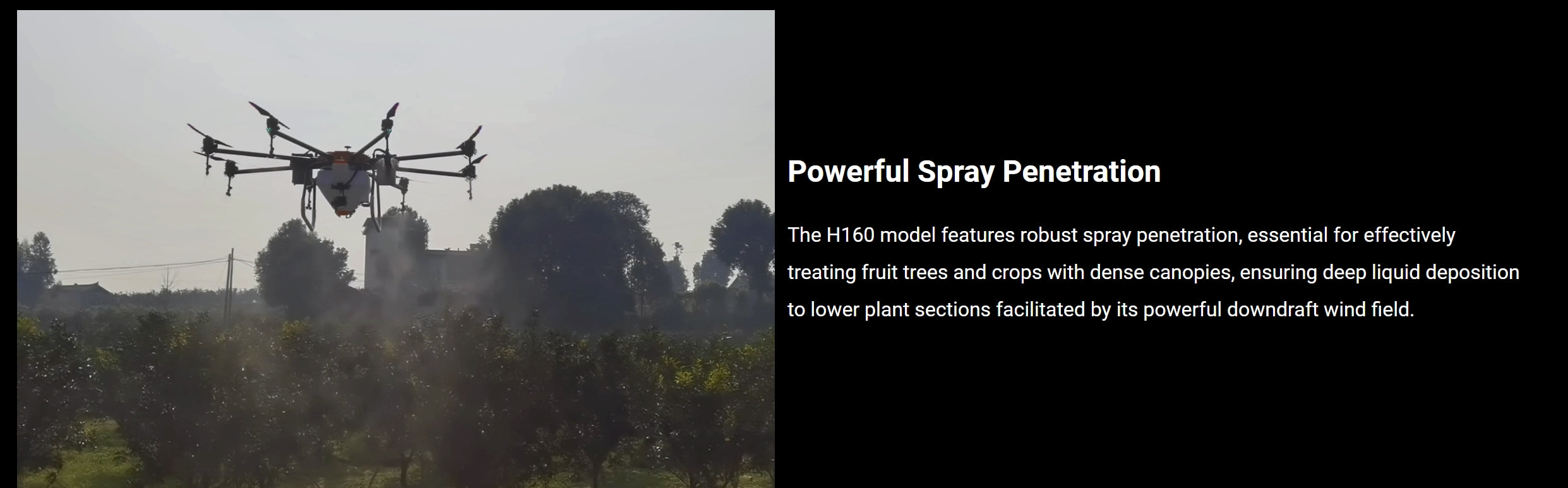H160 Agricultural Drone, Powerful Spray Penetration The H160 model features robust spray penetration, essential for treating fruit