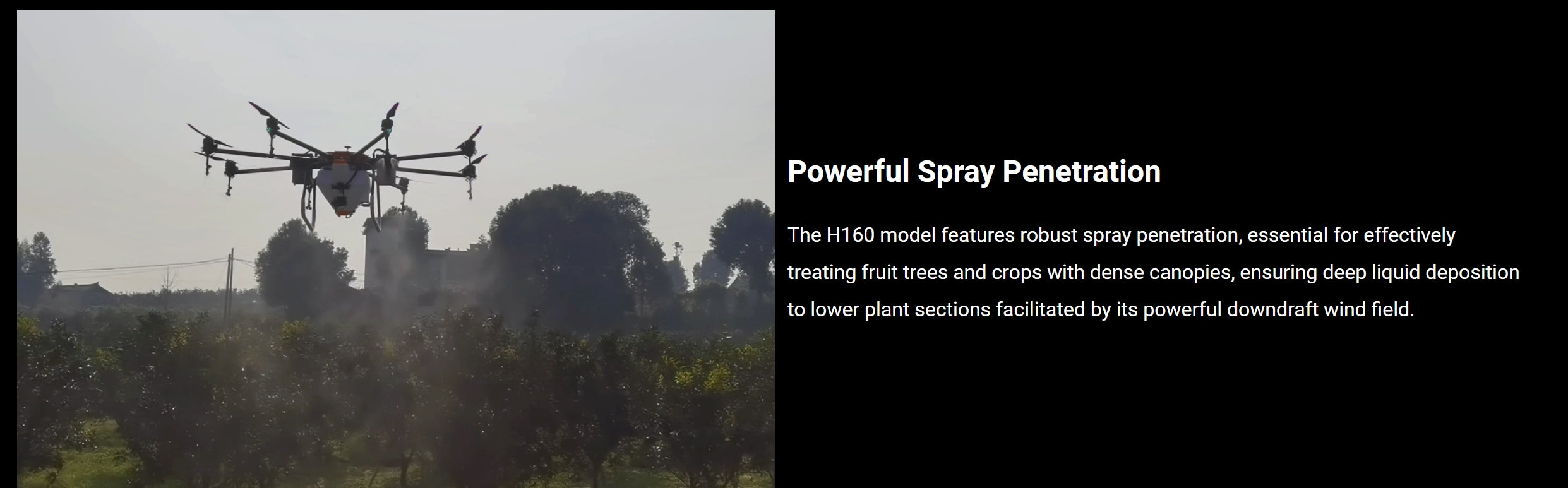 H160 Agricultural Drone - 8 Axis 72L 82L Spray / 80KG Spread X8 Motor Skydroid H12 14S 42000mAh Battery Agri Drone 13 H160 Agricultural Drone, Powerful Spray Penetration The H160 model features robust spray penetration, essential for treating fruit