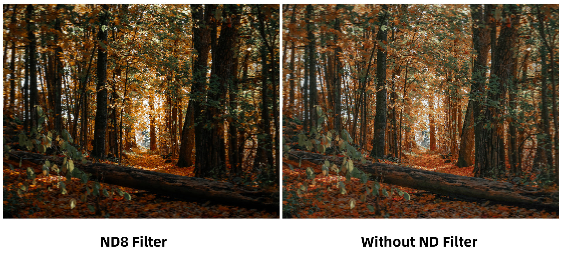 Walksnail Moonlight kit - 4K/60FPS Startlight Camera Built-in EIS FOV 160° Dual Antennas FPV VTX Video Transmitter System 17 Walksnail Moonlight kit, 4k/60fps Startlight Camera Built