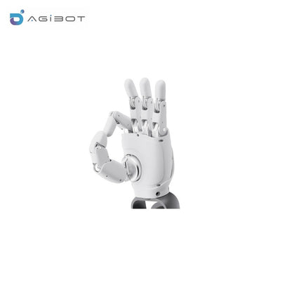 AGIBOT OmniHand 2025 Robot Hand