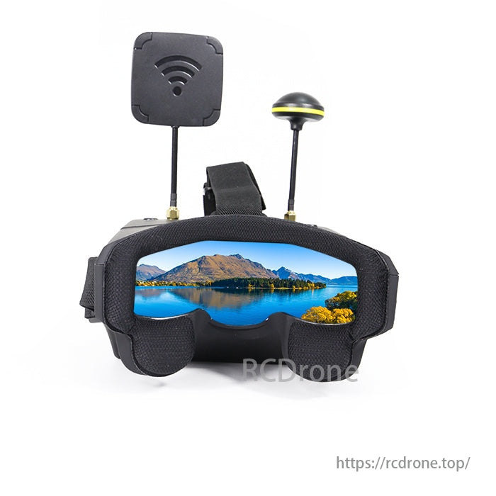 ARRIS X-Speed 250B 6-Inch FPV, The Radiolink AT9S Pro transmitter offers long-range control and customizable flight settings.