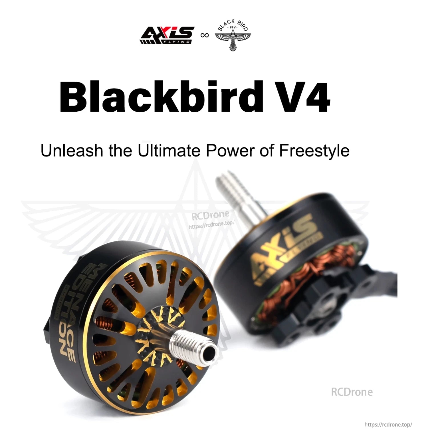 Axisflying x BlackBird V4 2307.3 5-inch FPV motor, Axis Flying Blackbird V4 2307.3 5-inch FPV Motor