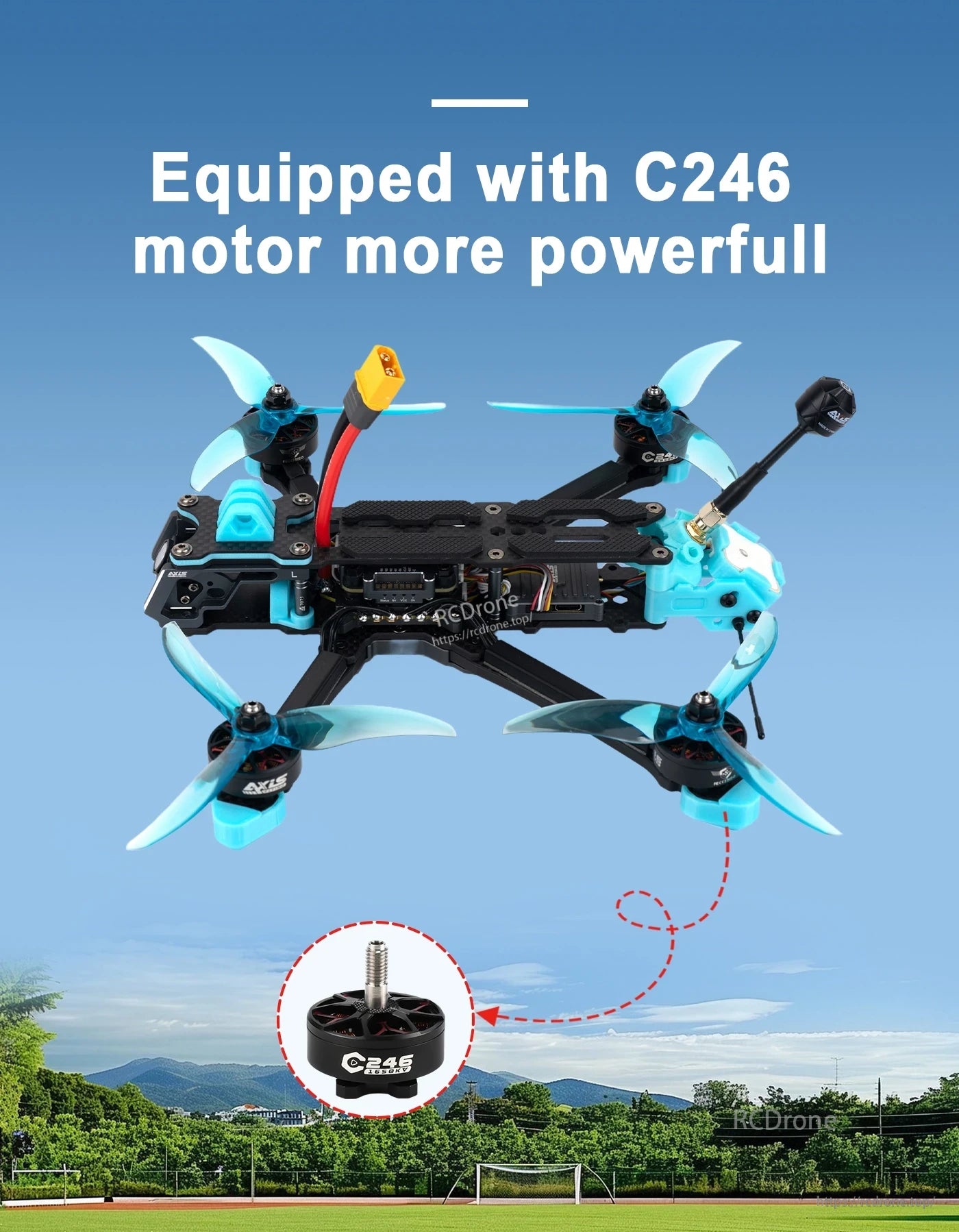 FPV freestyle quadcopter with DeadCat-style frame, blue propellers, and C246 motors on a carbon top plate
