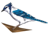 Bluejay logo bird graphic used to reference Bluejay ESC firmware compatibility