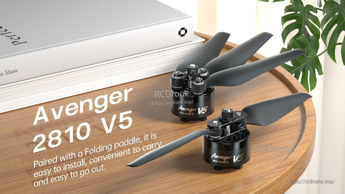 BrotherHobby Avenger 2810 V5 910KV Motor(CW)